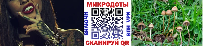 Купить закладки  Чердынь  Псилоцибиновые грибы Psilocybe 
